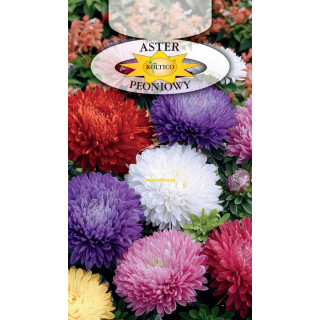 Aster peoniowy Mieszanka 1g ROL