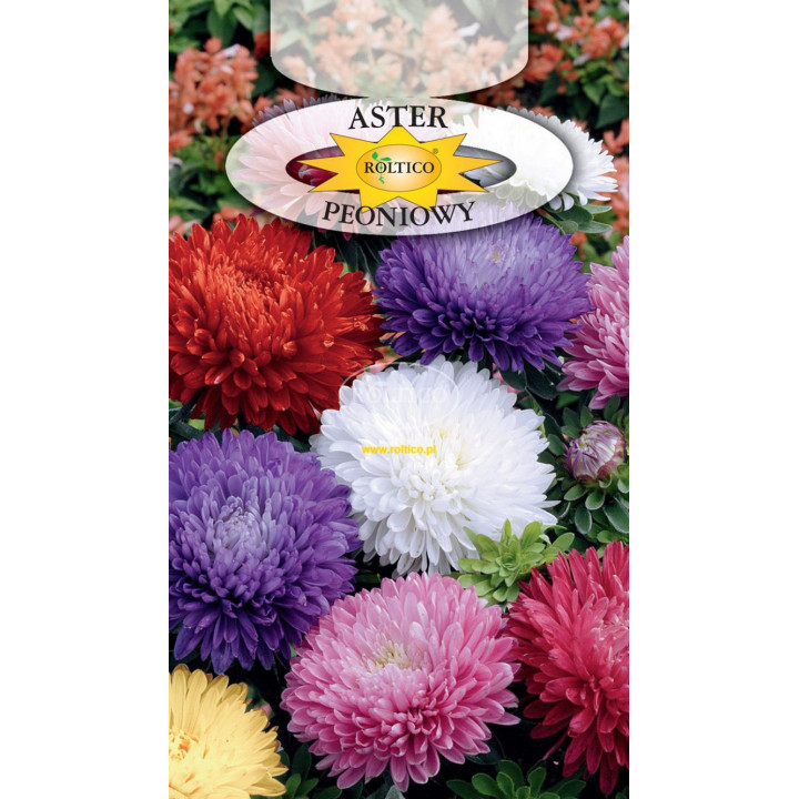 Aster peoniowy Mieszanka 1g ROL