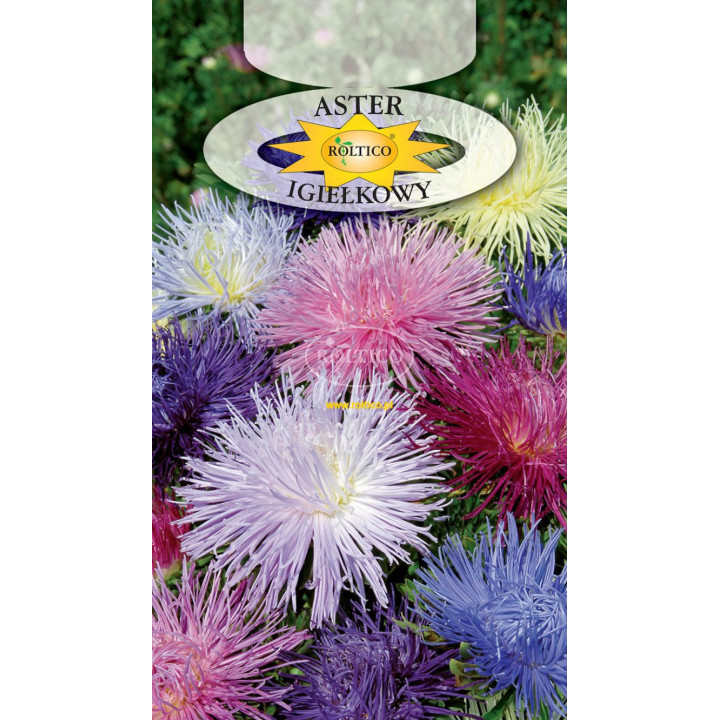 Aster igiełkowy Mieszanka 1g ROL
