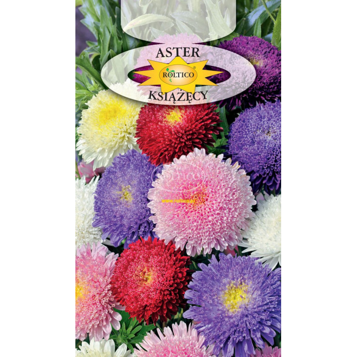 Aster książęcy Mieszanka 1g ROL