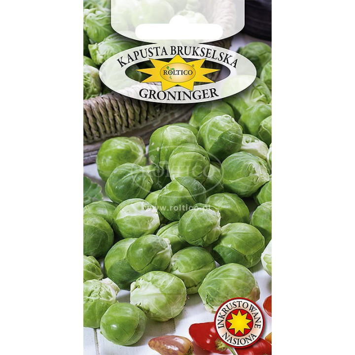 Kapusta brukselka Groninger 1g