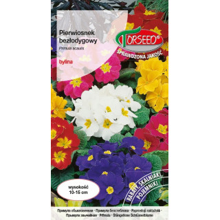 PIERWIOSNEK BEZŁODYGOWY 0,1G MIESZANKA