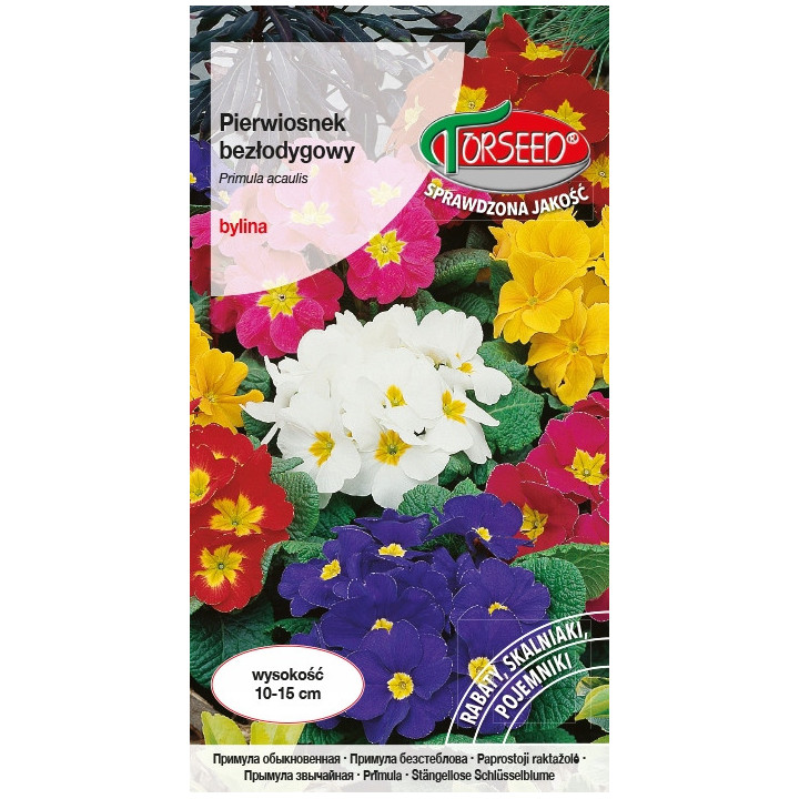 PIERWIOSNEK BEZŁODYGOWY 0,1G MIESZANKA
