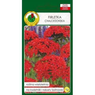 FIRLETKA CHALCEDOŃSKA SZKARŁATNA 1g