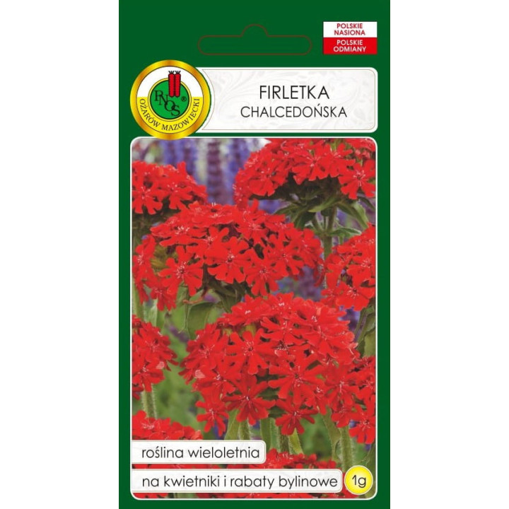 FIRLETKA CHALCEDOŃSKA SZKARŁATNA 1g